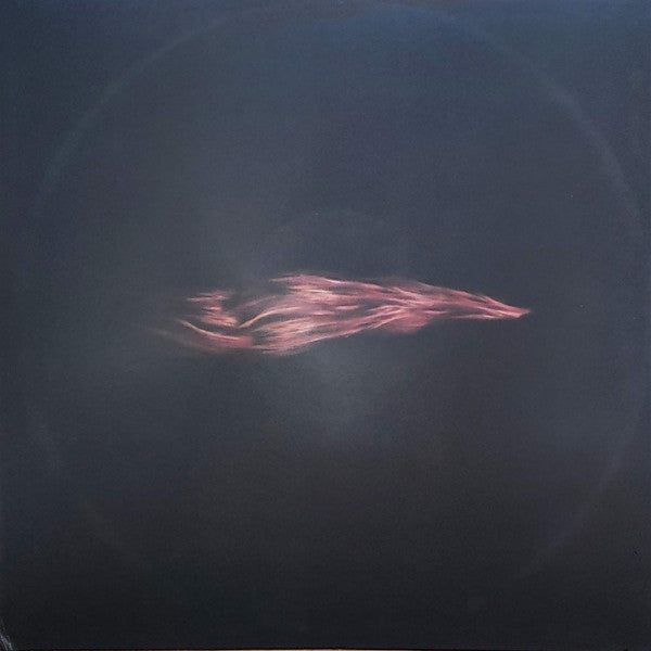 Swans : The Seer (3xLP, Album)