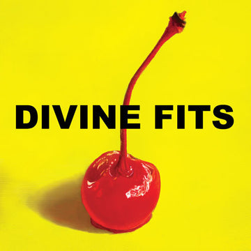 Divine Fits : A Thing Called Divine Fits (CD, Album)