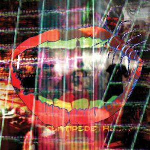 Animal Collective : Centipede Hz (CD, Album, Gat)