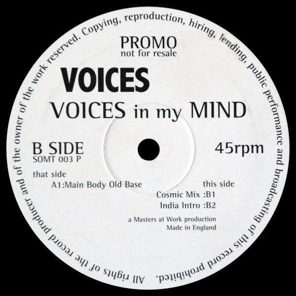 Voices : Voices In My Mind (12", Promo)