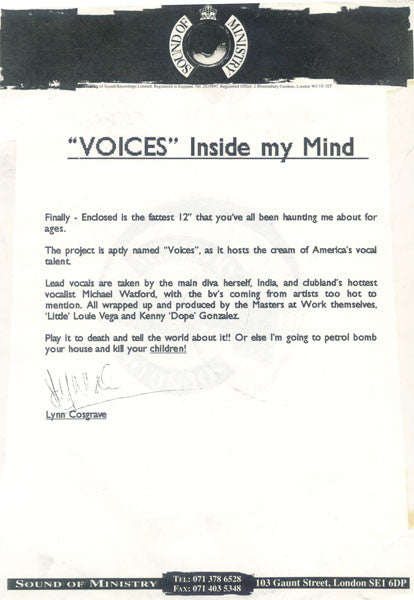 Voices : Voices In My Mind (12", Promo)