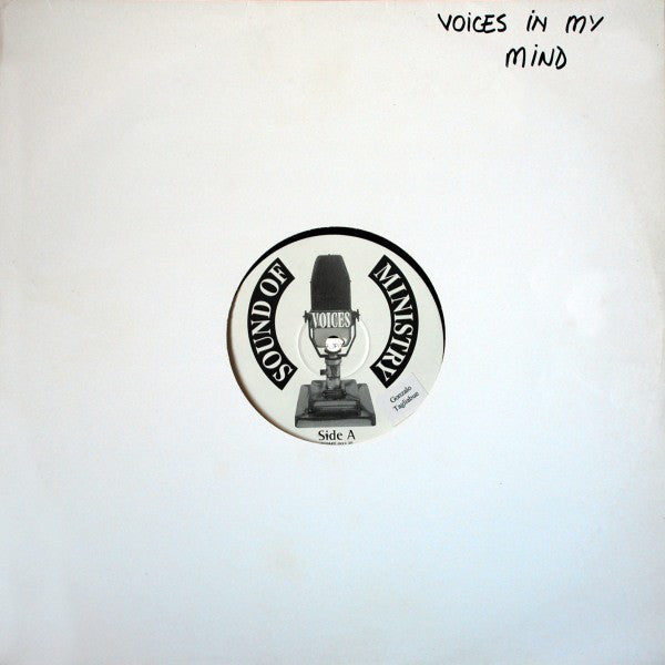 Voices : Voices In My Mind (12", Promo)