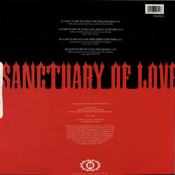 The Source : Sanctuary Of Love (12")