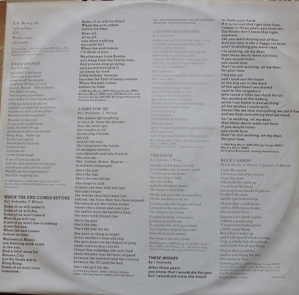 The Rave-Ups : The Book Of Your Regrets (LP, Album)
