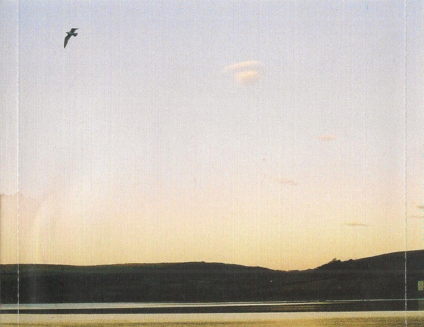 Neon Heights : A Hot Trip To Heaven (CD, Album)