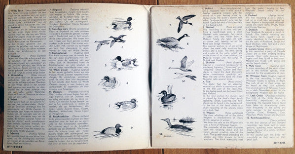 John Kirby (4) : Listen The Birds 10 = Hoor De Vogels 10 (7", EP, Gat)