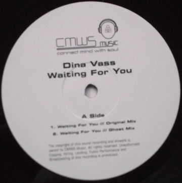 Dina Vass : Waiting For You (12")