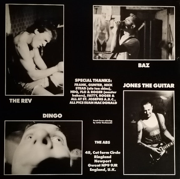 The Abs : Nail It Down (LP, Album)