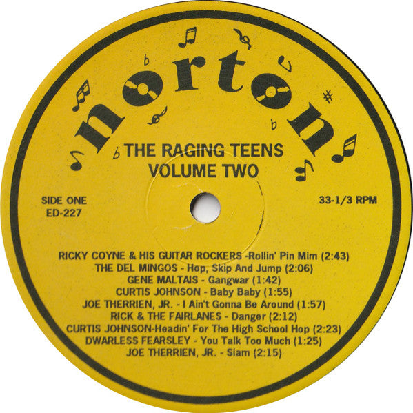 Various : The Raging Teens Volume 2 (LP, Comp)