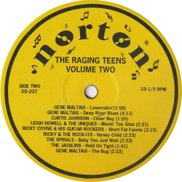 Various : The Raging Teens Volume 2 (LP, Comp)