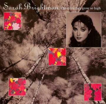 Sarah Brightman : The Trees They Grow So High (CD, Album)