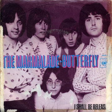 The Marmalade : Butterfly (7", Single)