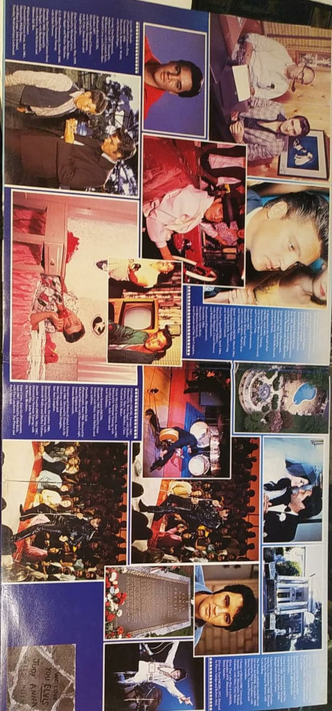 Elvis Presley : Golden Filmhits (2xLP, Comp)