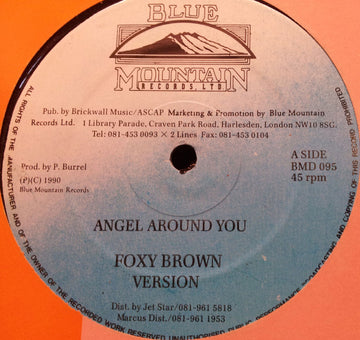 Foxy Brown (2) / Princess (2) : Angel Around You / If We Hold On Together (12")