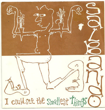 Salbando : I Could See The Smallest Things (7")