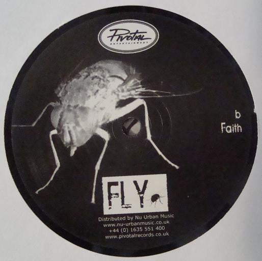 Fly (2) : Music Is So Special EP (2x12")