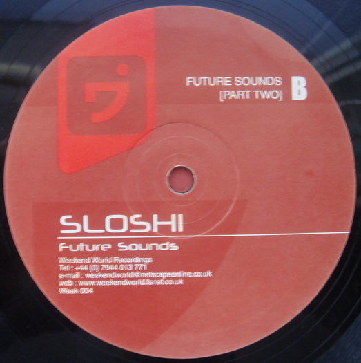 Sloshi : Future Sounds (12")