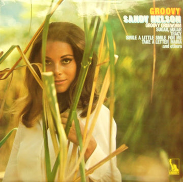 Sandy Nelson : Groovy (LP, Album)