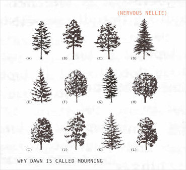 Nervous Nellie : Why Dawn Is Called Mourning (CD, Album)
