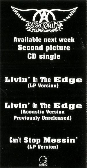 Aerosmith : Livin' On The Edge (CD, Single)