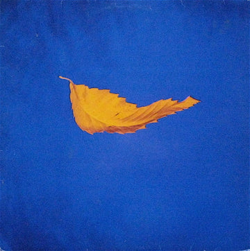 New Order : True Faith (12")