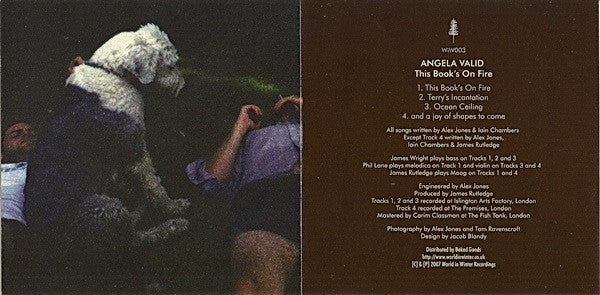 Angela Valid : This Book's On Fire (CD, EP)
