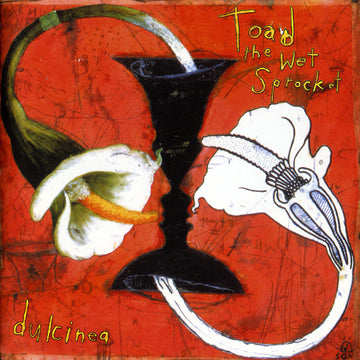 Toad The Wet Sprocket : Dulcinea (CD, Album)