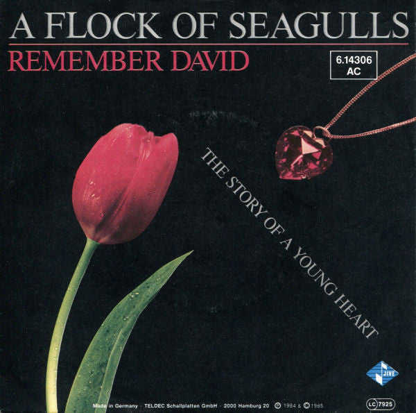 A Flock Of Seagulls : Remember David (7", Single)