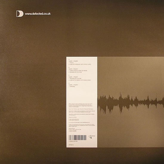 Choo Choo Project : Hazin' + Phazin' (2x12")