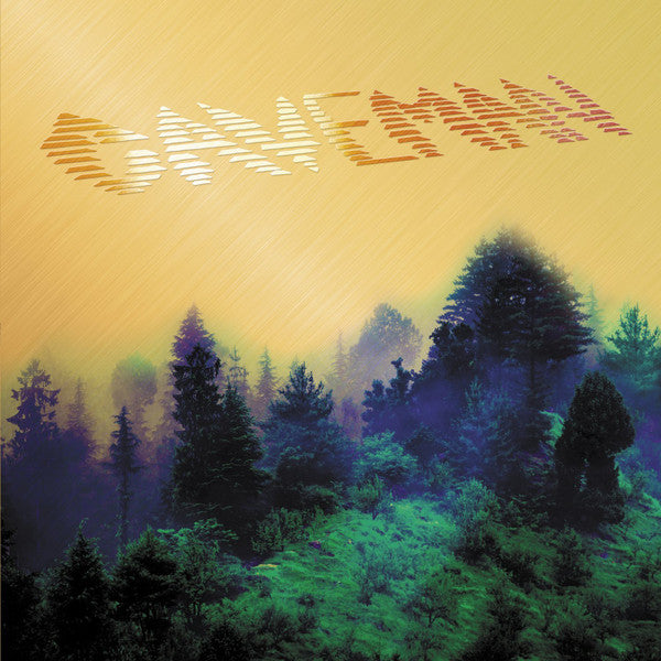 Caveman (12) : Caveman (LP, Album)
