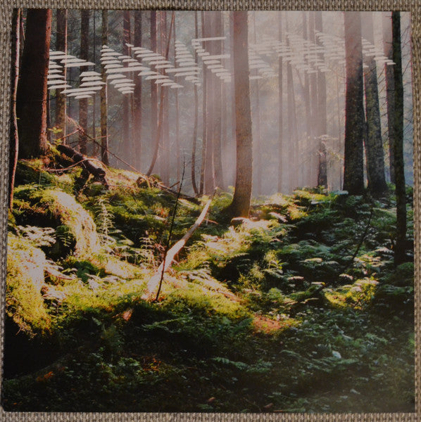 Caveman (12) : Caveman (LP, Album)