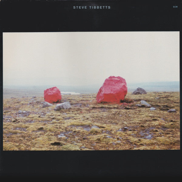 Steve Tibbetts : Exploded View (LP, Album)