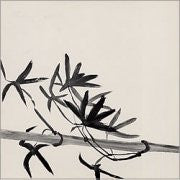 Ryuichi Sakamoto & David Sylvian / David Sylvian : Forbidden Colours / Nightporter (12", EP)