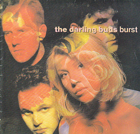 The Darling Buds : Burst (7")