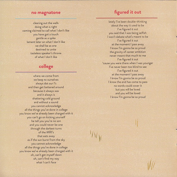 Rogue Wave : Nightingale Floors (CD, Album)