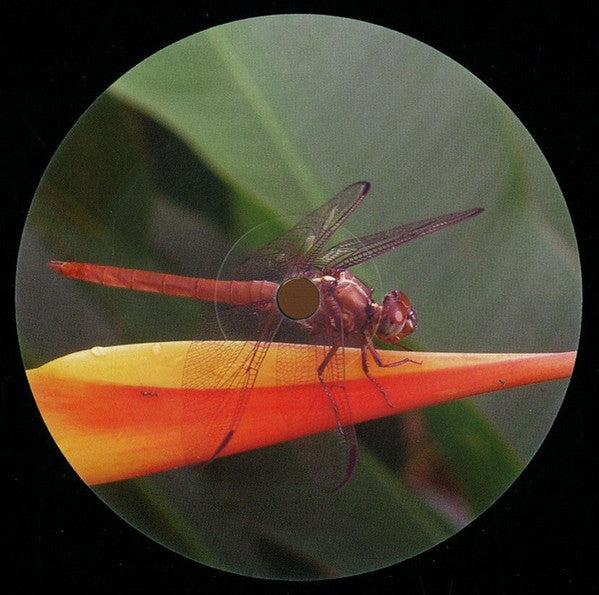 Daniel Zuur : Delicate EP (12", EP)