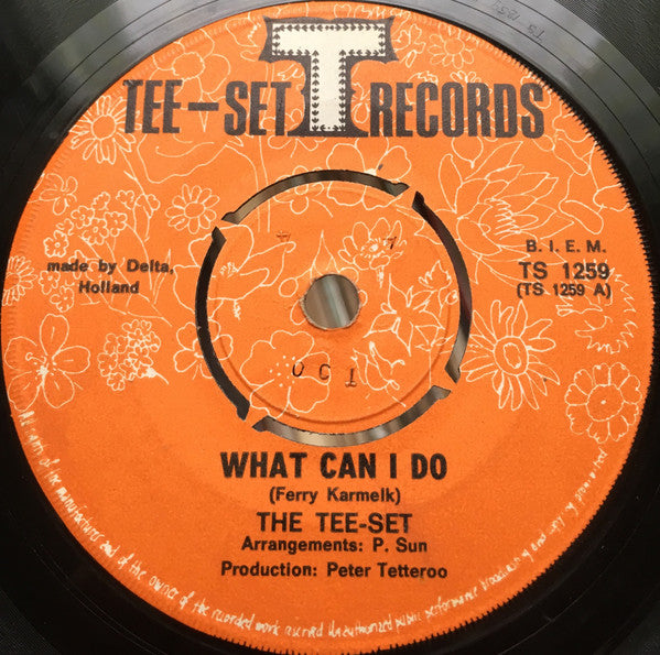 Tee-Set : What Can I Do (7", Single)