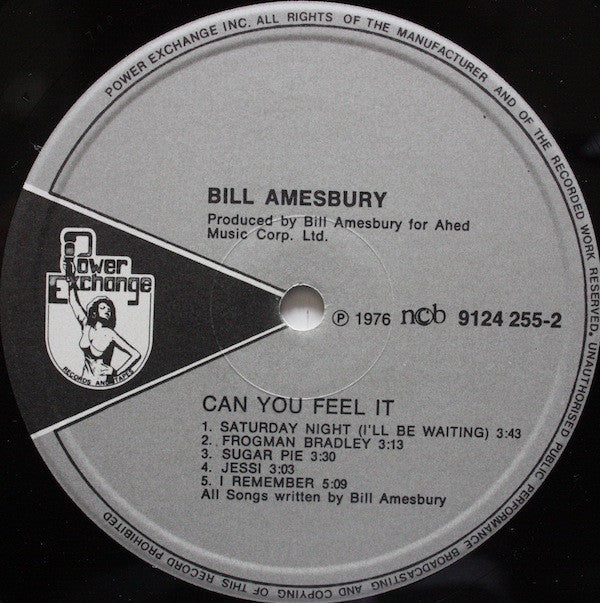 Bill Amesbury : Can You Feel It (LP, Album)