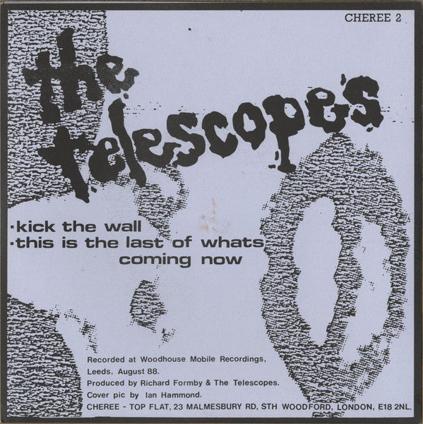 The Telescopes : Kick The Wall (7", Single)