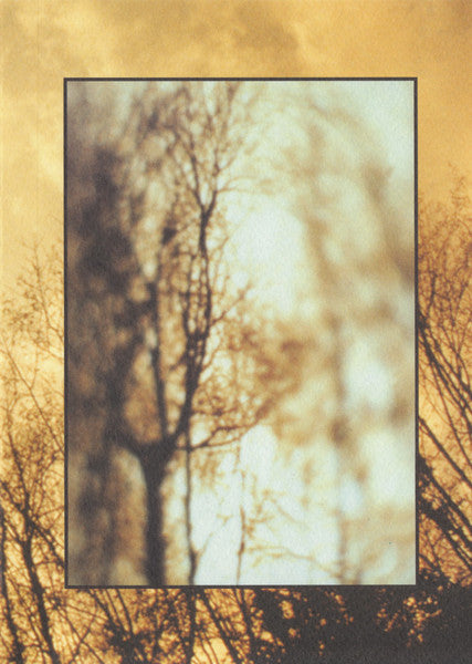 Ron Boots Featuring Harold van der Heijden : Of Desolate Places And Urban Jungles (CD, Mini, Ltd, Num)