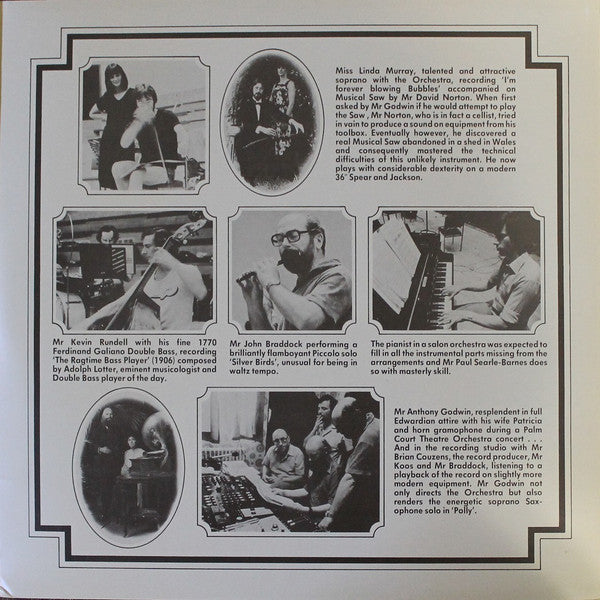 The Palm Court Theatre Orchestra : The Picnic Party (LP, Album)