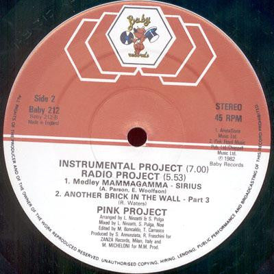 Pink Project : Disco Project (12")