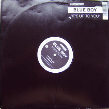 Blue Boy : It's Up To You (12", Maxi)