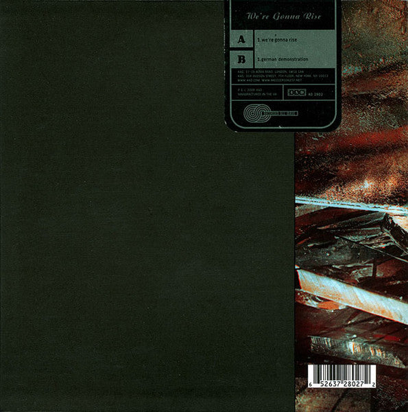 The Breeders : We're Gonna Rise (7", Single)