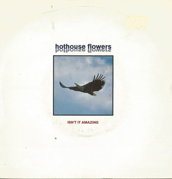 Hothouse Flowers : Isn't It Amazing (7", Single)