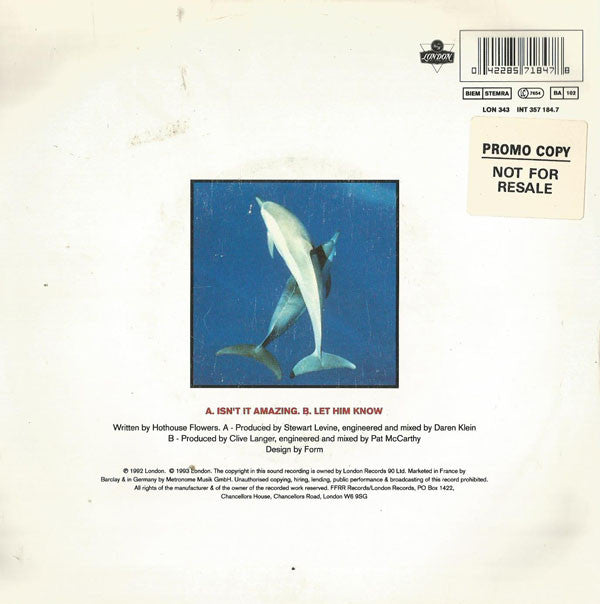 Hothouse Flowers : Isn't It Amazing (7", Single)