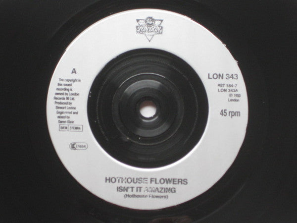 Hothouse Flowers : Isn't It Amazing (7", Single)