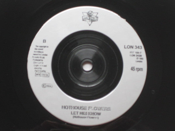 Hothouse Flowers : Isn't It Amazing (7", Single)