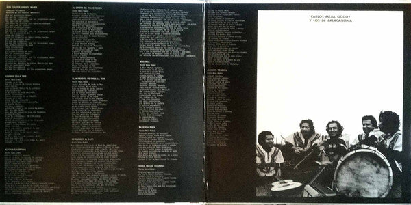 Carlos Mejía Godoy y Los De Palacagüina : El Son Nuestro De Cada Dia  (LP, Album)