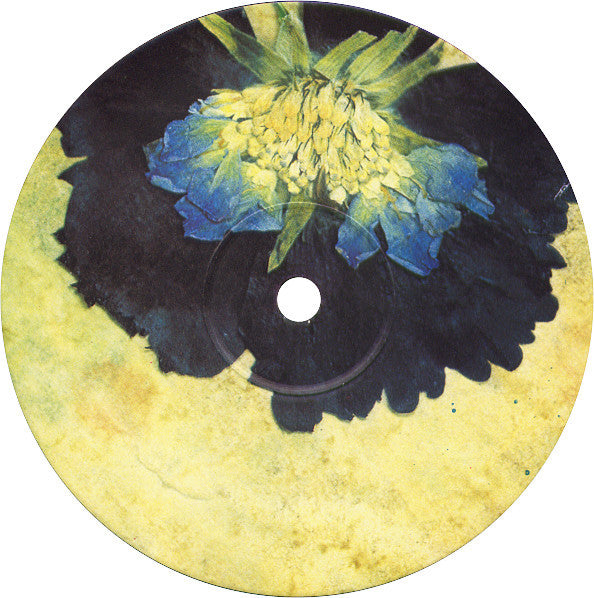 Fields Of The Nephilim : Sumerland E.P. (12", EP)